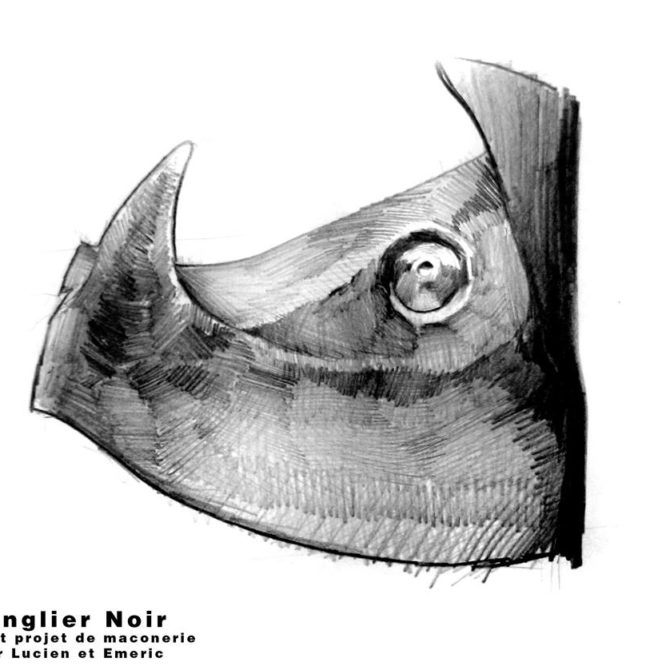 dessin Gargouille en granite breton sanglier Lucien Mazé